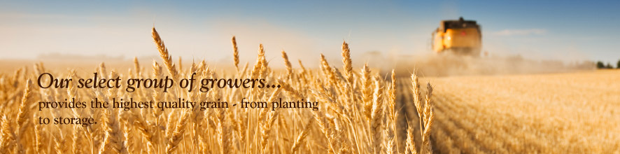 Our select group of growers provides the highest quality grain - from planting to storage.